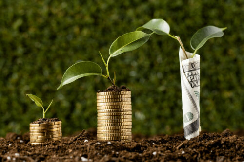 plants-with-coins-stacked-dirt-banknote